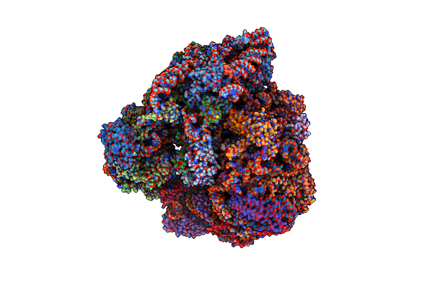 5T2A image