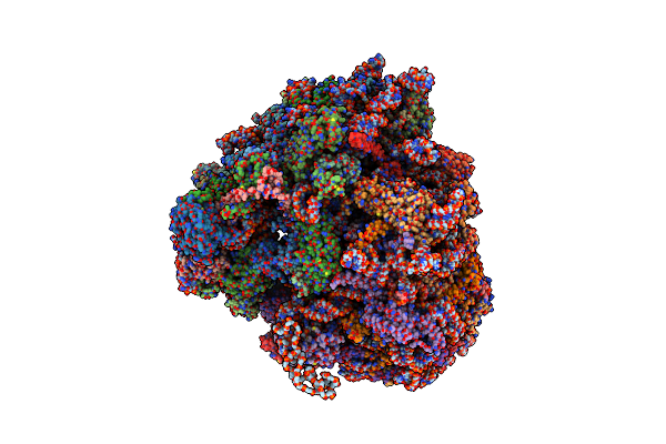 5T2C image