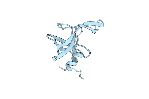 5T2E image