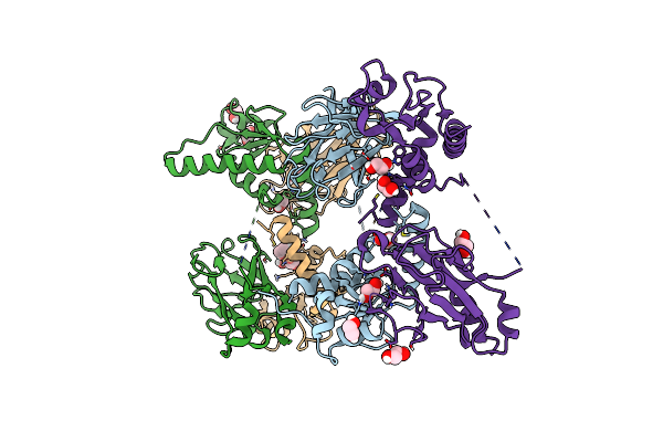 5T2F image