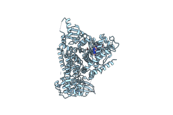 5T2I image