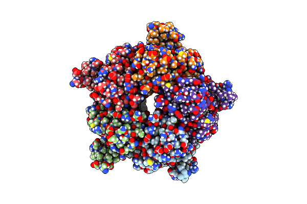 5T2K image
