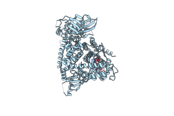 5T2M image