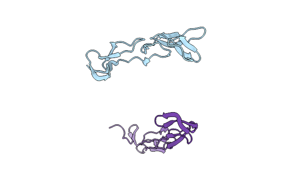 5T2Q image