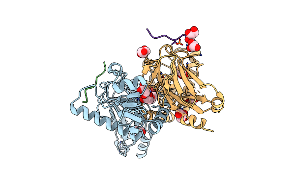 5T2S image