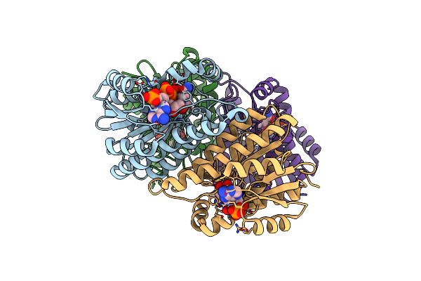 5T2U image