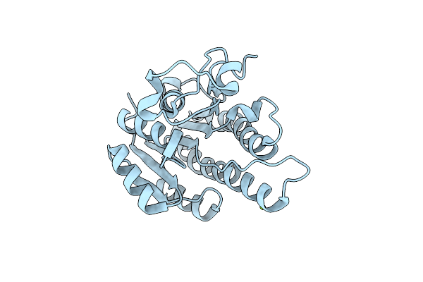 5T2V image