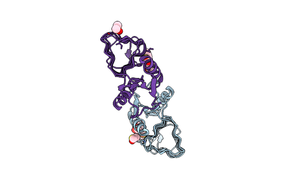 5T2Y image
