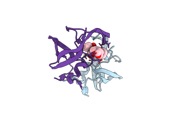5T2Z image