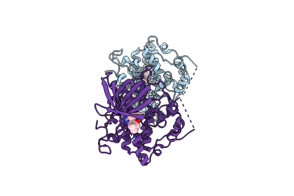 5T31 image