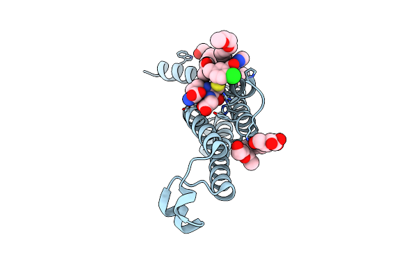 5T37 image