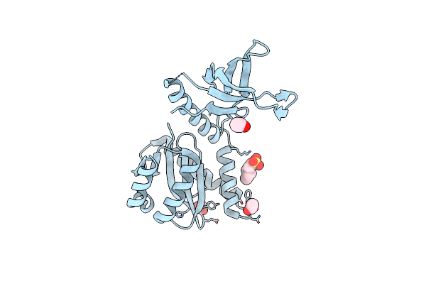 5T3A image