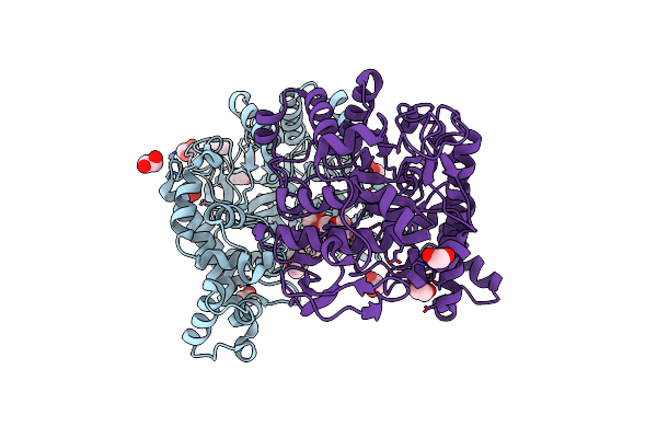 5T3B image