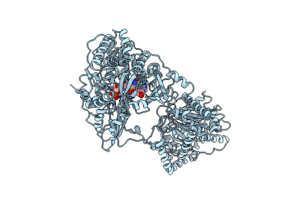 5T3D image