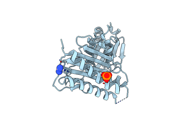 5T3J image