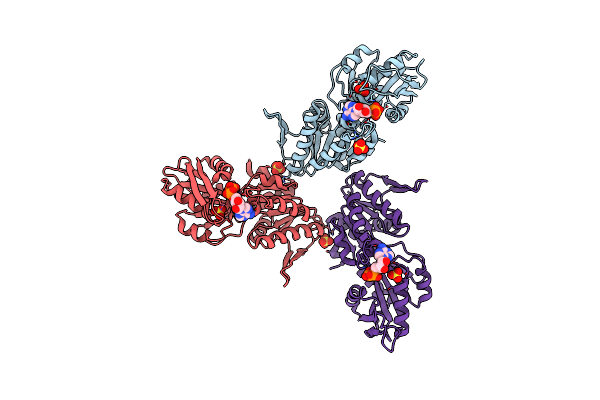 5T3O image