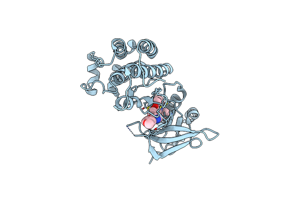 5T3Q image