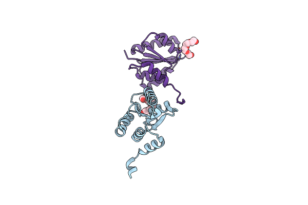 5T3U image