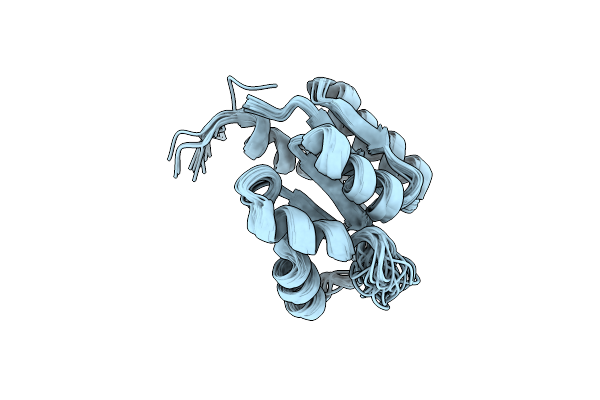 5T3Y image