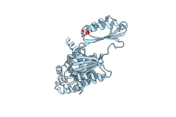 5T41 image