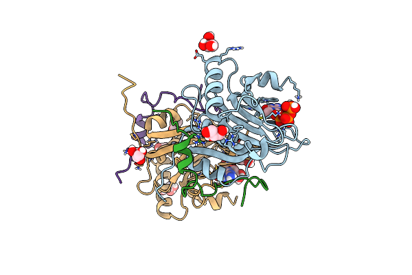 5T46 image