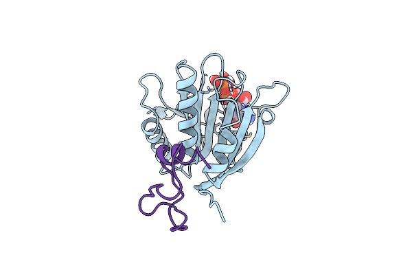 5T48 image