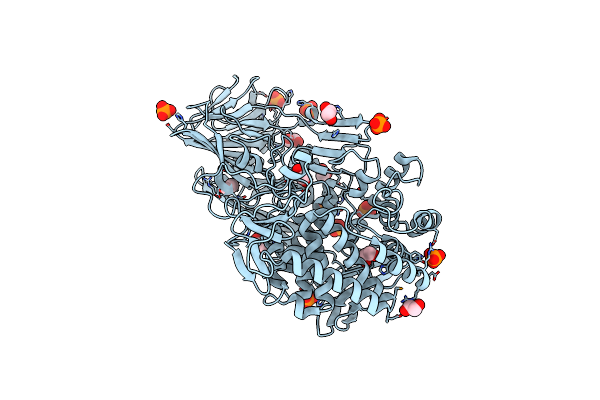 5T49 image