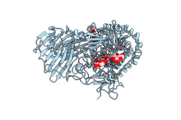 5T4A image