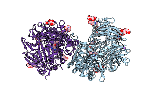 5T4B image