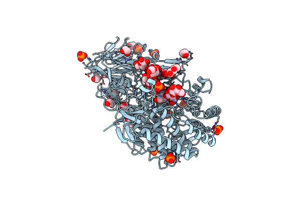 5T4C image