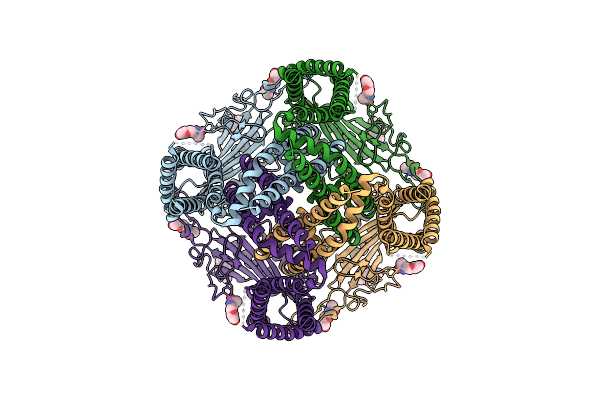 5T4D image