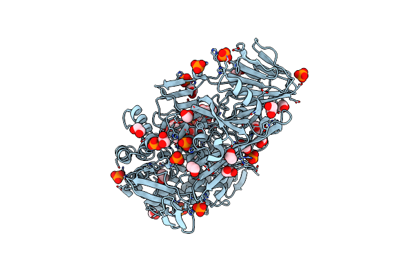 5T4G image