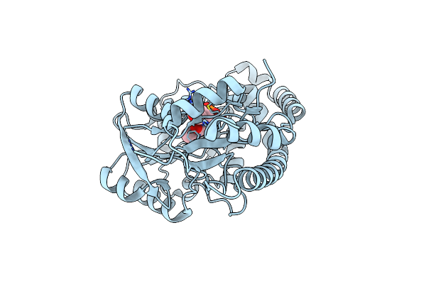 5T4J image