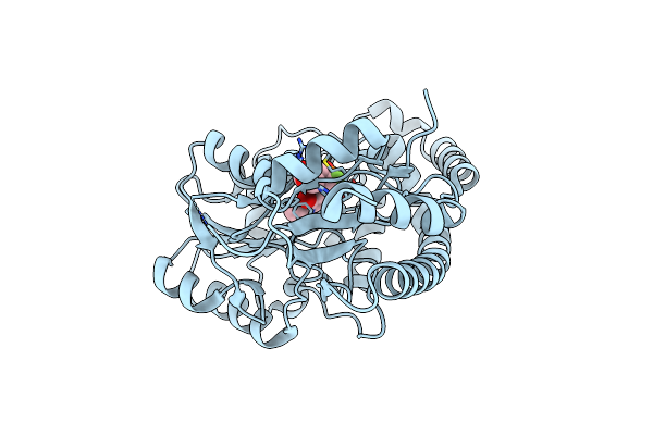 5T4K image