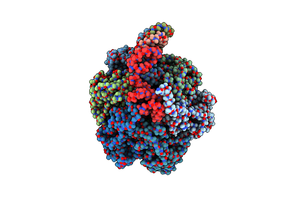 5T4O image