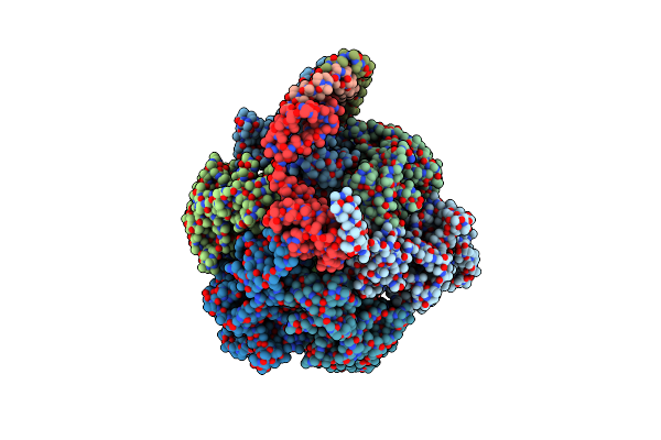5T4P image