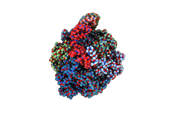 5T4Q image