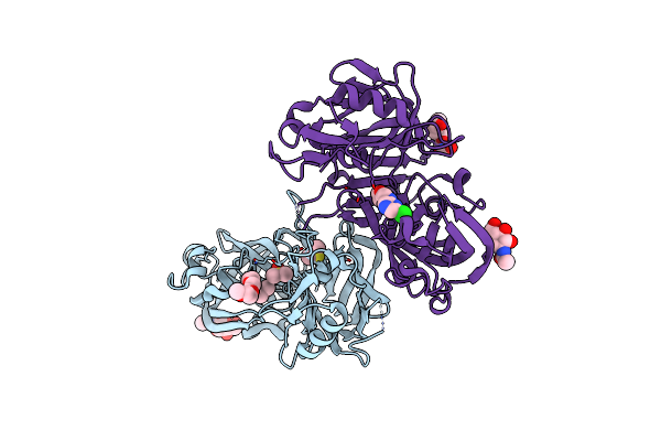 5T4S image