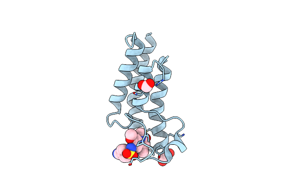 5T4V image