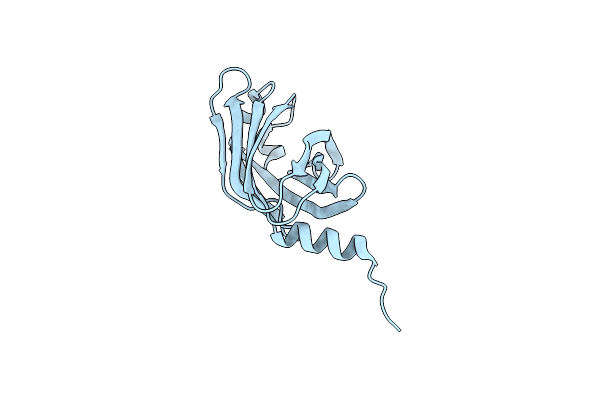5T4X image