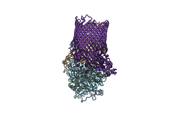 5T4Y image