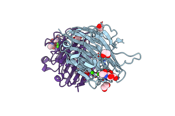 5T52 image