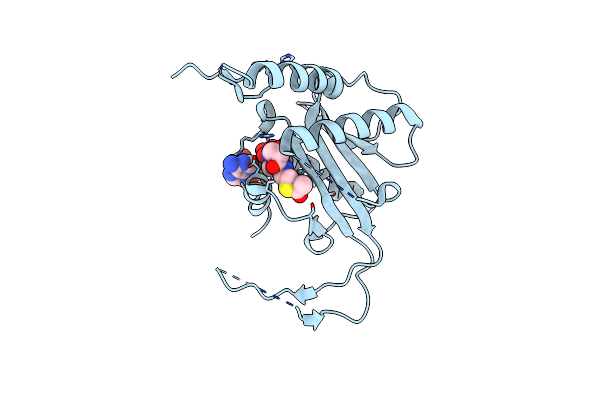 5T53 image