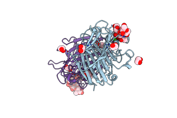 5T55 image