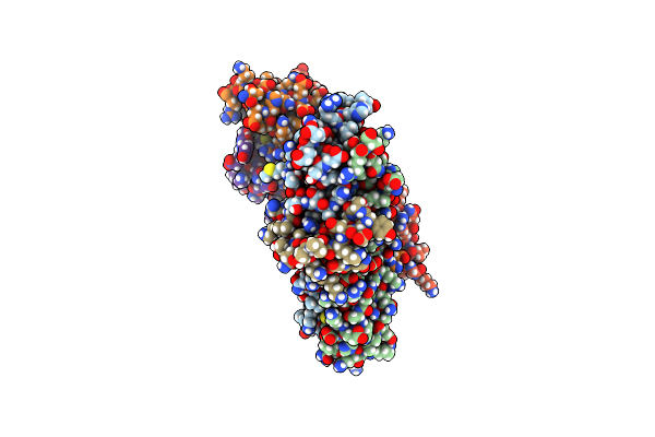 5T59 image