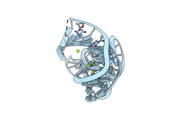 5T5A image