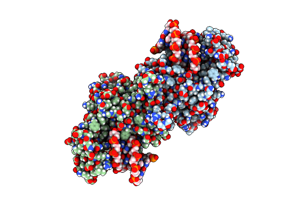 5T5C image