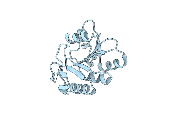 5T5D image