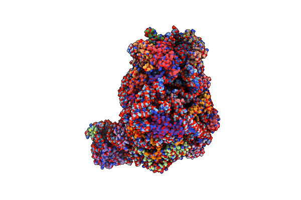 5T5H image