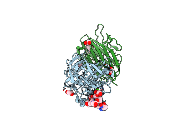 5T5J image